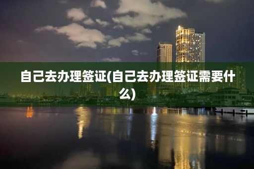 自己去办理签证(自己去办理签证需要什么)