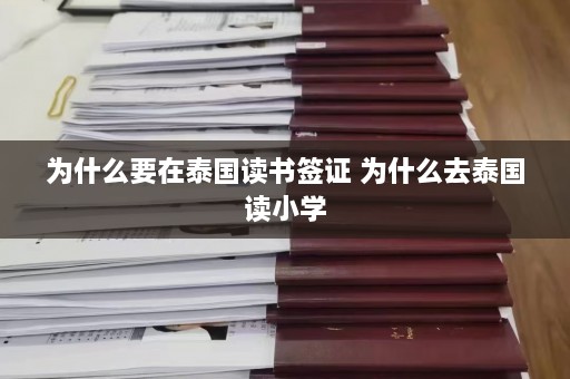 为什么要在泰国读书签证 为什么去泰国读小学