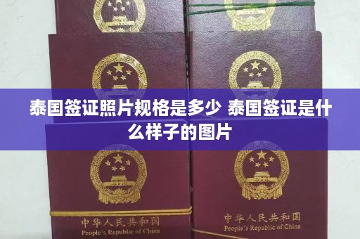 泰国签证照片规格是多少 泰国签证是什么样子的图片  第1张