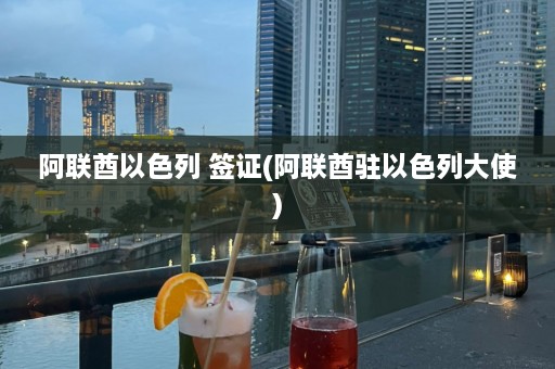 阿联酋以色列 签证(阿联酋驻以色列大使)  第1张