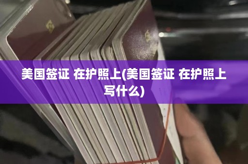 美国签证 在护照上(美国签证 在护照上写什么)  第1张