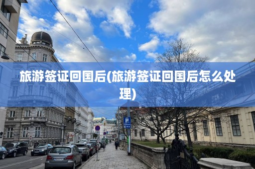 旅游签证回国后(旅游签证回国后怎么处理)