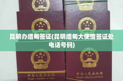 昆明办缅甸签证(昆明缅甸大使馆签证处 *** 号码)