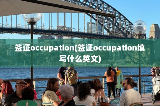 签证occupation(签证occupation填写什么英文)