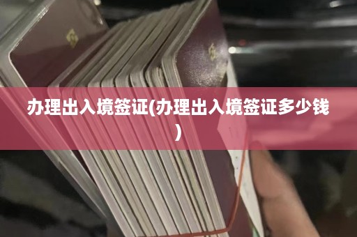 办理出入境签证(办理出入境签证多少钱)