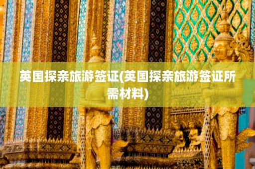 英国探亲旅游签证(英国探亲旅游签证所需材料)