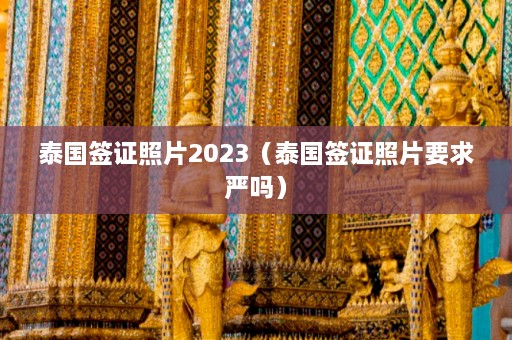 泰国签证照片2023（泰国签证照片要求严吗）  第1张