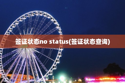 签证状态no status(签证状态查询)