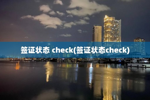 签证状态 check(签证状态check)  第1张