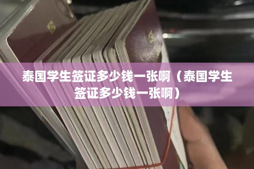 泰国学生签证多少钱一张啊（泰国学生签证多少钱一张啊）