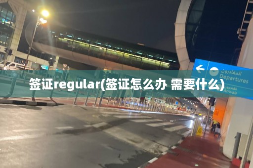 签证regular(签证怎么办 需要什么)