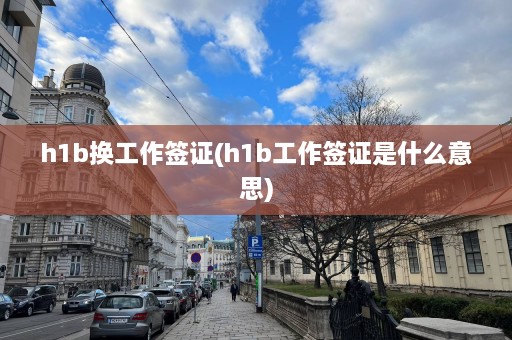 h1b换工作签证(h1b工作签证是什么意思)  第1张