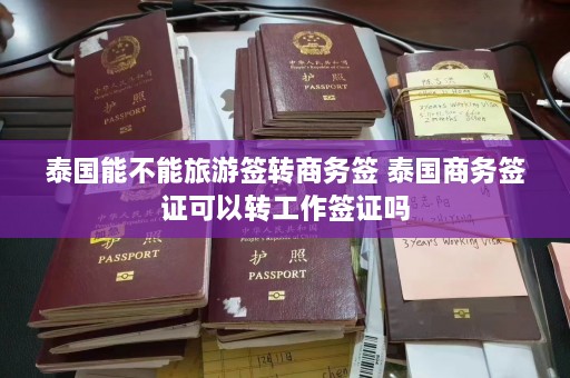 泰国能不能旅游签转商务签 泰国商务签证可以转工作签证吗