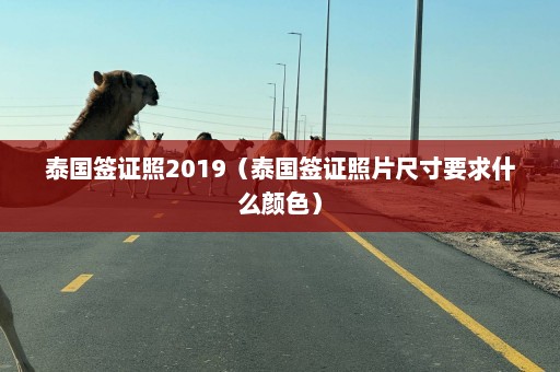 泰国签证照2019（泰国签证照片尺寸要求什么颜色）