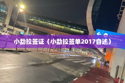 小勐拉签证（小勐拉签单2017自述）  第1张