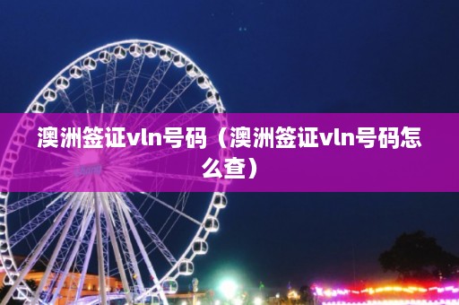 澳洲签证vln号码（澳洲签证vln号码怎么查）