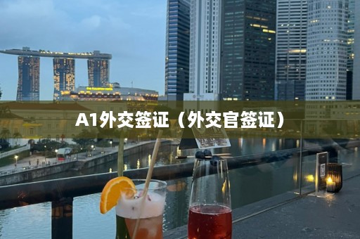 A1外交签证（外交官签证）