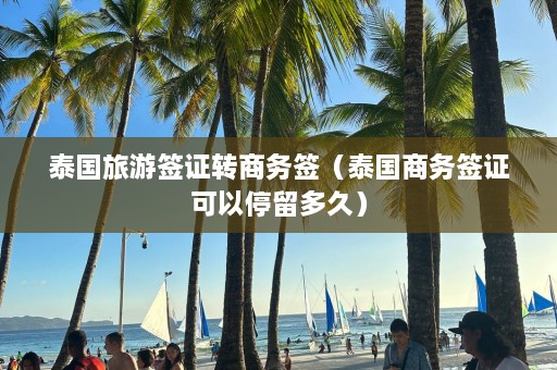 泰国旅游签证转商务签（泰国商务签证可以停留多久）