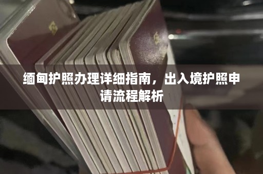  *** 护照办理详细指南，出入境护照申请流程解析  第1张