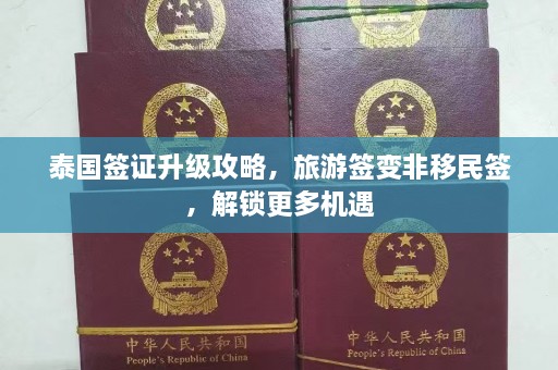 泰国签证升级攻略，旅游签变非移民签，解锁更多机遇