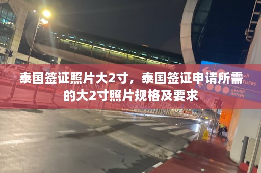 泰国签证照片大2寸，泰国签证申请所需的大2寸照片规格及要求