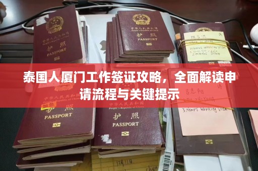 泰国人厦门工作签证攻略，全面解读申请流程与关键提示