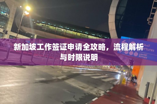 新加坡工作签证申请全攻略，流程解析与时限说明