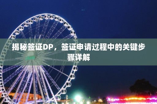 揭秘签证DP，签证申请过程中的关键步骤详解