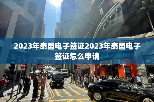 2023年泰国电子签证2023年泰国电子签证怎么申请