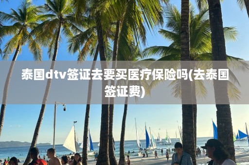 泰国dtv签证去要买医疗保险吗(去泰国签证费)