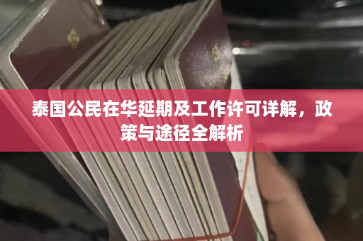 泰国公民在华延期及工作许可详解，政策与途径全解析