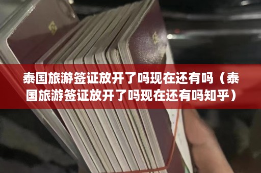 泰国旅游签证放开了吗现在还有吗（泰国旅游签证放开了吗现在还有吗知乎）  第1张