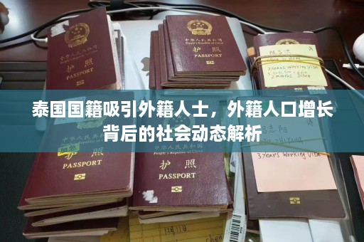 泰国国籍吸引外籍人士，外籍人口增长背后的社会动态解析