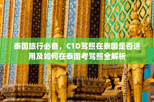 泰国旅行必备，C1D驾照在泰国是否适用及如何在泰国考驾照全解析