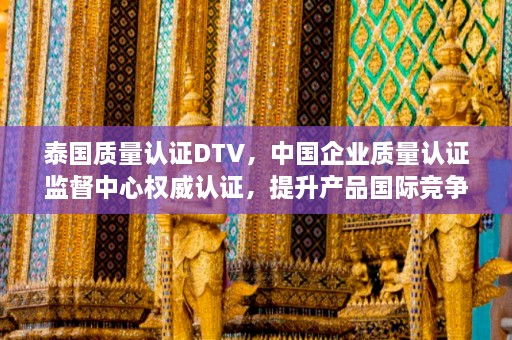 泰国质量认证DTV，中国企业质量认证监督中心权威认证，提升产品国际竞争力