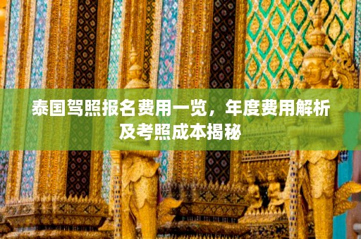 泰国驾照报名费用一览，年度费用解析及考照成本揭秘