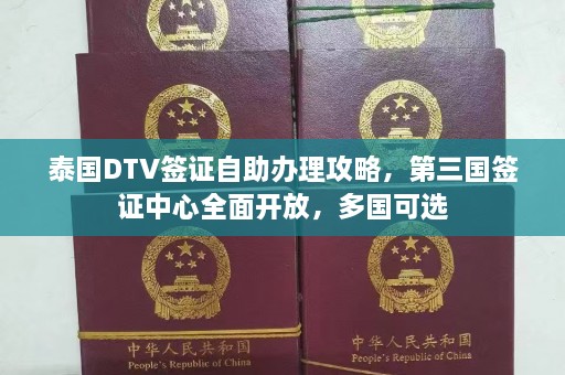 泰国DTV签证自助办理攻略，第三国签证中心全面开放，多国可选