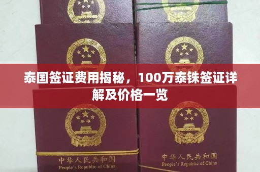 泰国签证费用揭秘，100万泰铢签证详解及价格一览