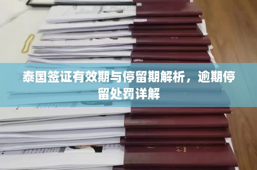 泰国签证有效期与停留期解析，逾期停留处罚详解