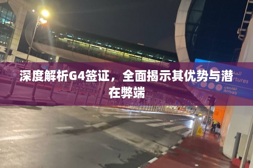 深度解析G4签证，全面揭示其优势与潜在弊端