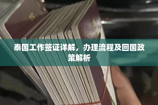 泰国工作签证详解，办理流程及回国政策解析