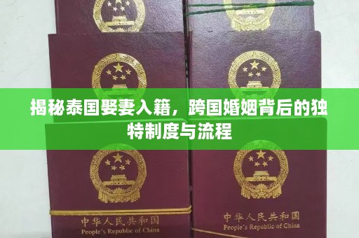 揭秘泰国娶妻入籍，跨国婚姻背后的独特制度与流程