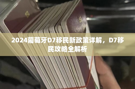 2024葡萄牙D7移民新政策详解，D7移民攻略全解析