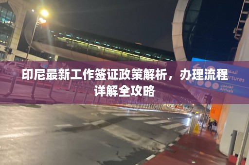 印尼最新工作签证政策解析，办理流程详解全攻略