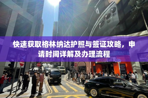 快速获取格林纳达护照与签证攻略，申请时间详解及办理流程