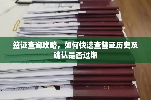 签证查询攻略，如何快速查签证历史及确认是否过期