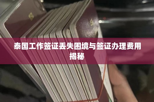 泰国工作签证丢失困境与签证办理费用揭秘