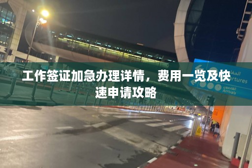 工作签证加急办理详情，费用一览及快速申请攻略