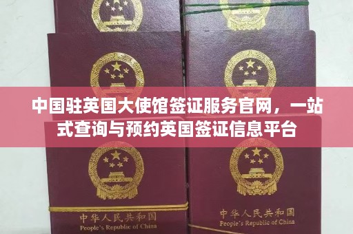 中国驻英国大使馆签证服务官网，一站式查询与预约英国签证信息平台