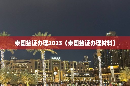 泰国签证办理2023（泰国签证办理材料）